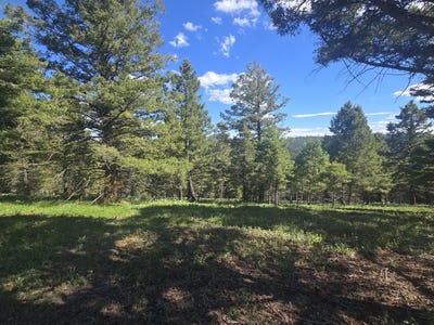 /international/us/28-muskrat-road-helmville-mt-110108983019/