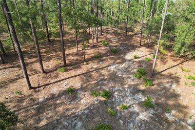 /international/us/148th-court-morriston-fl-110108065830/