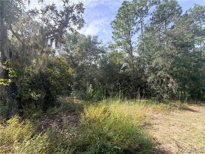 /international/us/5066-e-anna-jo-drive-inverness-fl-110120129374/
