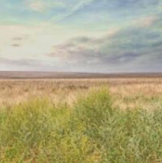 /international/us/fm-2587-wildorado-tx-110100763715/