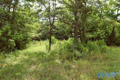 /international/us/3-acres-county-road-198-danville-al-110101448280/?lang=zh-tw