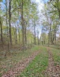 /international/us/37-risch-road-webberville-vlg-mi-110103626644/