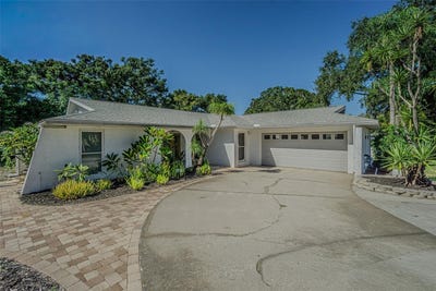 /international/us/565-sandy-hook-road-palm-harbor-fl-110102934871/