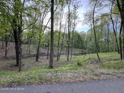 /international/us/lot-23a-walleye-way-scottsville-ky-110099860785/