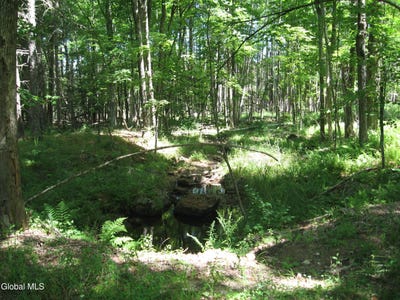 /international/us/1260-valentine-pond-road-horicon-ny-110101245817/?lang=zh-tw