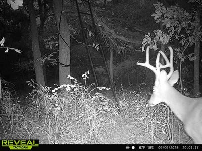 /international/us/keota-ok-110107720778/