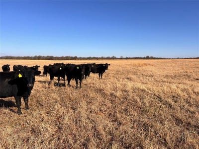 /international/us/365-road-okemah-ok-110104815039/