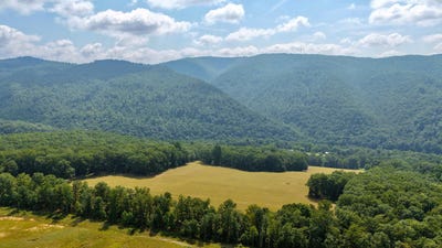 /international/us/216-bald-hills-farm-ln-lewisburg-wv-110108094909/