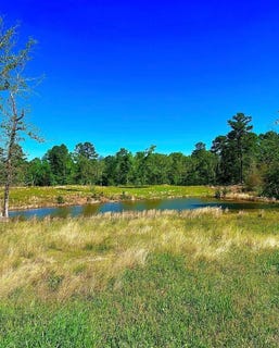 /international/us/868-county-road-2920-alba-tx-110104973963/