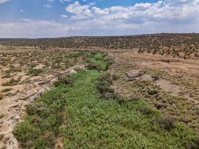 /international/us/95-cliff-thorn-rd-quemado-nm-110101697375/