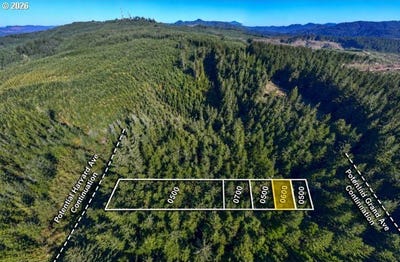 /international/us/grand-ave-florence-or-110120665621/