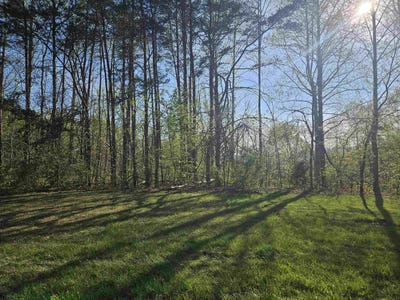 /international/us/woolwine-highway-woolwine-va-110107161221/