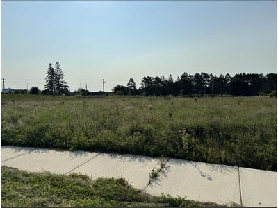 /international/us/19003-lot-ulysses-street-nw-elk-river-mn-110094346369/