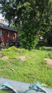 /international/us/1875-lacombe-ave-bronx-ny-110101177952/