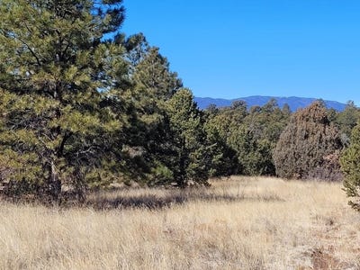 /international/us/59-silver-feather-trail-pecos-nm-110103804205/