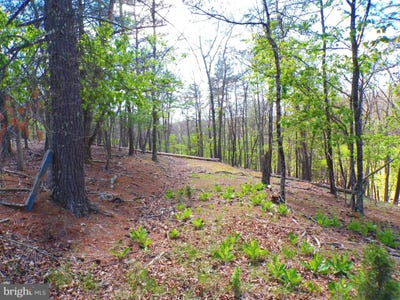 /international/us/crossings-cacapon-lot-120-paw-paw-wv-110107804116/