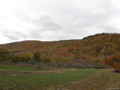 /international/us/gregory-hollow-road-hamden-ny-110107209922/