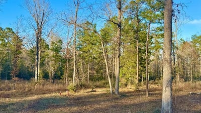 /international/us/2165-dorsey-road-hemphill-tx-110105937005/