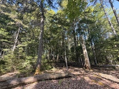 /international/us/lot-17-sunset-cove-way-orland-me-110119660432/