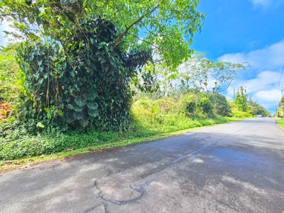 /international/us/maile-st-pahoa-hi-110101124194/?lang=zh-tw