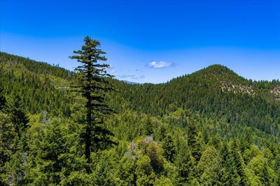 /international/us/forest-rte-4n20-road-hyampom-ca-110108506583/