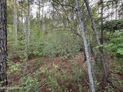 /international/us/n-lot-1-river-road-summit-ms-110108059539/