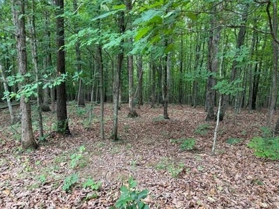 /international/us/red-bird-drive-lot-3-gladstone-va-110108342896/