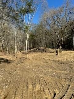 /international/us/21-25-acre-chestnut-valley-road-vonore-tn-110100147442/