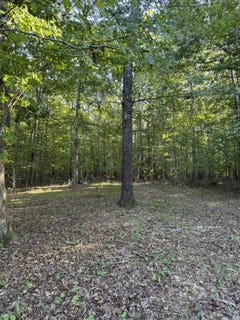 /international/us/0003-decatur-road-russell-springs-ky-110120029127/