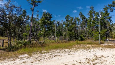 /international/us/bambi-ct-keaton-beach-fl-110120645422/