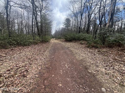 /international/us/74-75-elm-drive-catawissa-pa-110099736325/