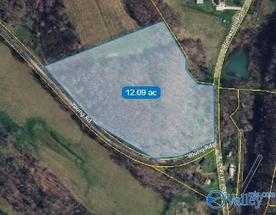 /international/us/12-acres-bunker-hill-road-pulaski-tn-110101393027/