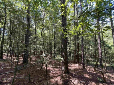 /international/us/davidson-campground-rd-okolona-ar-110109555962/