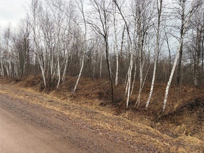 /international/us/on-sheep-camp-road-ladysmith-wi-110106922994/