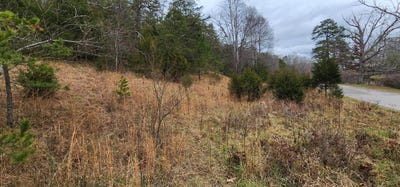 /international/us/tbd-johns-creek-rd-new-castle-va-110098223380/