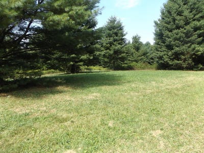 /international/us/sylvatus-hwy-lot-2-hillsville-va-110119920630/