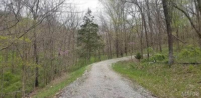 /international/us/1500-summit-on-pond-lane-wildwood-mo-110100261256/