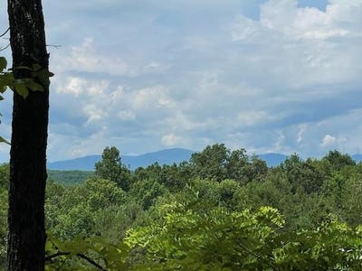 /international/us/19-25-ac-old-hwy-76-morganton-ga-110107376888/