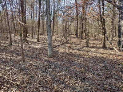/international/us/tract-8-st-james-rd-mountain-view-ar-110105631531/