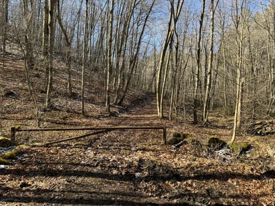 /international/us/1900-mt-view-rd-cool-ridge-wv-110104941859/
