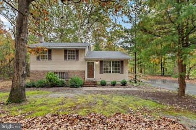 /international/us/31703-hickory-manor-rd-frankford-de-110103249823/