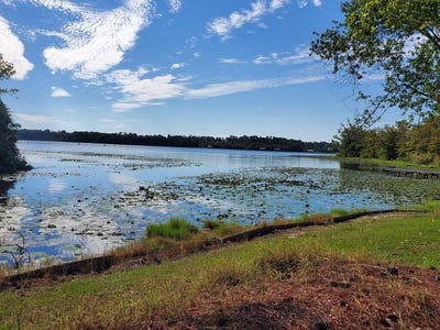 /international/us/8044-county-road-374-donalsonville-ga-110120003860/