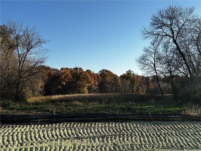 /international/us/lot-5-151st-avenue-se-becker-twp-mn-110103164169/