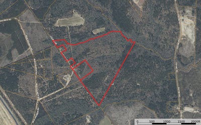/international/us/young-circle-kershaw-sc-110119730768/