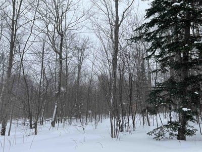 /international/us/2924-new-duck-pond-road-sheffield-vt-110105036748/
