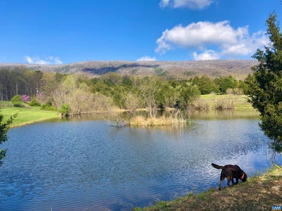 /international/us/443-meadow-view-ln-fort-valley-va-110106348961/