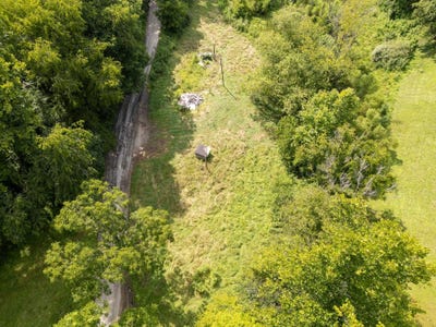 /international/us/40-two-mile-road-branchland-wv-110105797061/