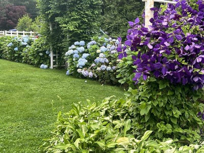 /international/us/114-stoney-cliff-road-centerville-ma-110099336903/