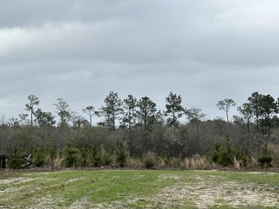 /international/us/tract-6336-sand-path-road-bonifay-fl-110089586098/