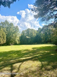 /international/us/4811-holcomb-sweethome-road-holcomb-ms-110120134251/